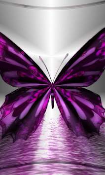 Butterfly 3d Wallpapers screenshot 2