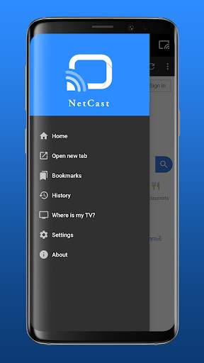 NetCast Player screenshot 2