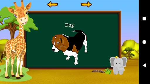 Animal and Birds sounds screenshot 1