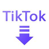 تنزيل فيديو TikTok بدون علامة مائية 4.0