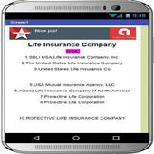 Life Insurance icon