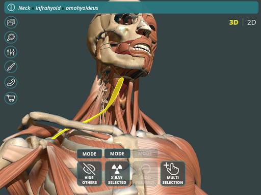 Visual Anatomy 3D | Human screenshot 9