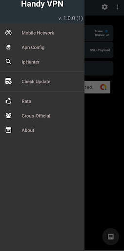 Handy VPN screenshot 2