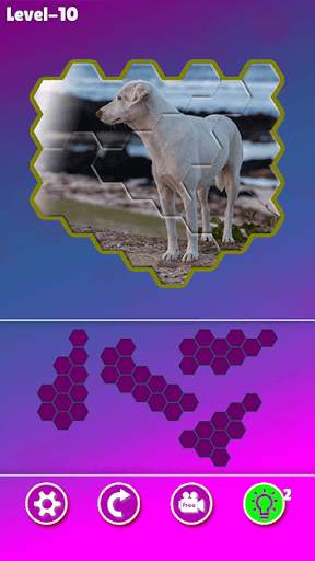 Hexa Jigsaw - Dogs jigsaw puzzle game screenshot 4