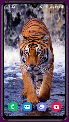 Royal Tiger Wallpaper HD 7 تصوير الشاشة