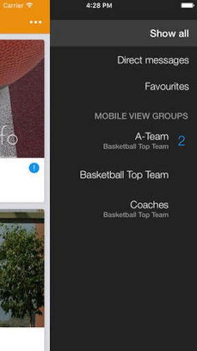 Mobile View screenshot 3