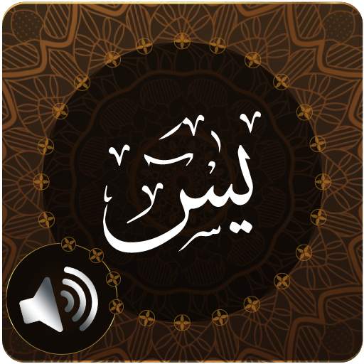 Surah Yaseen Audio 2.91
