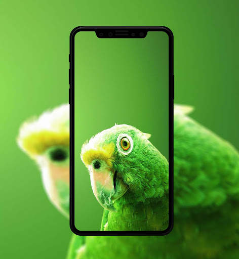 Beautiful Bird Wallpaper 3 تصوير الشاشة