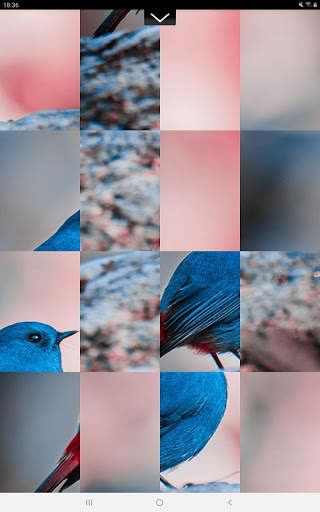 Puzzle Pic - Animal Edition screenshot 8