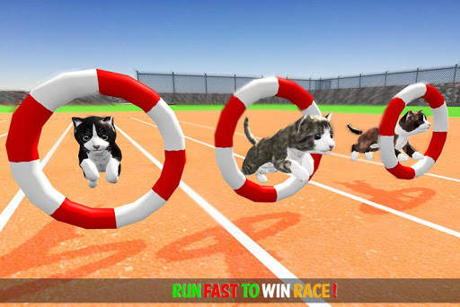 Cat Simulator Game 2020 :Kitty Running screenshot 3