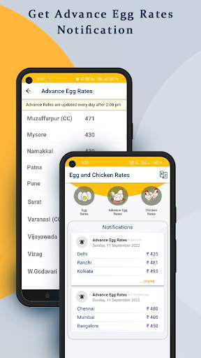 Egg and Chicken Rates screenshot 4