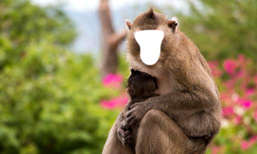 Funny Monkey Photo Montage screenshot 8