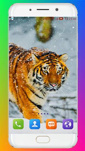 Tiger Wallpaper HD screenshot 11