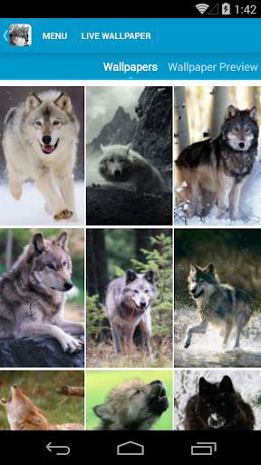 Wolves Live Wallpapers screenshot 2