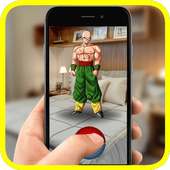 Dragon Z Saiyan GO! 2k18 Pocket Edition logo