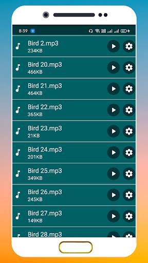 Birds Sound Ringtone screenshot 3