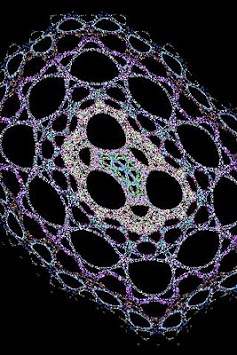 Mandelbrot Live Wallpaper Lite screenshot 1