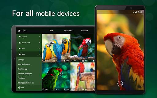 Parrot Wallpapers PRO screenshot 5