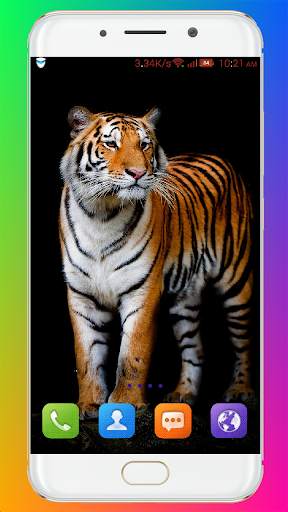 Tiger Wallpaper HD screenshot 2