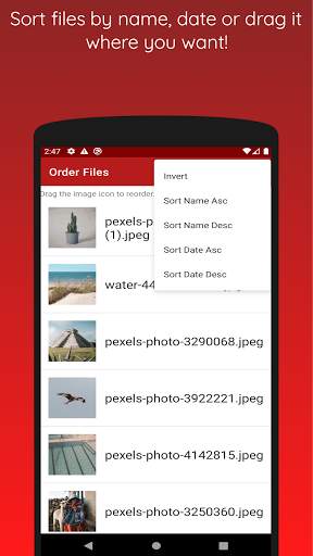 Image to PDF - JPG to PDF screenshot 2