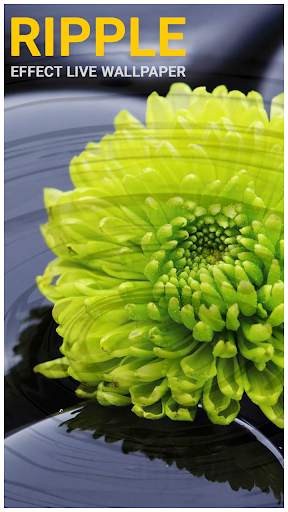 Ripple effect live wallpaper screenshot 3