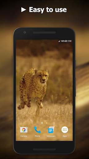 Cheetah Video Live Wallpaper screenshot 3