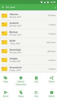 File Manager - File transfer screenshot 4