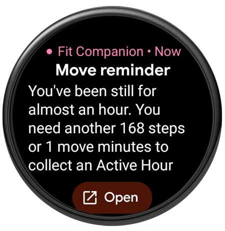 Fit Companion screenshot 12