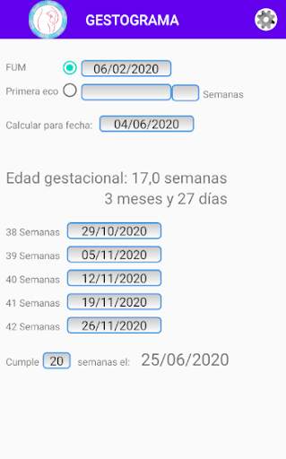 Dextograma (Gestograma) screenshot 4
