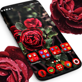 Real Red Roses Launcher Theme icon