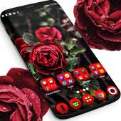Real Red Roses Launcher Theme on 9Apps