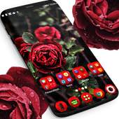 Real Red Roses Launcher Theme 1.264.1.13