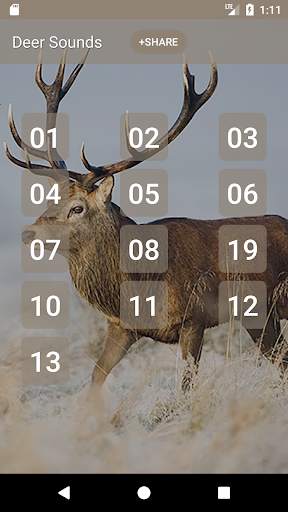Deer Sounds screenshot 1
