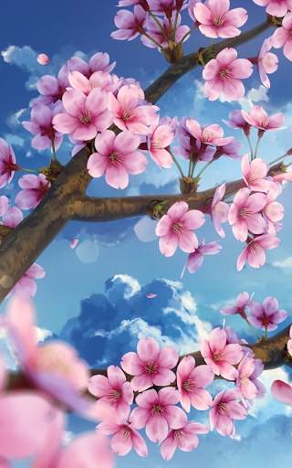 Sakura Live Wallpaper HD screenshot 1