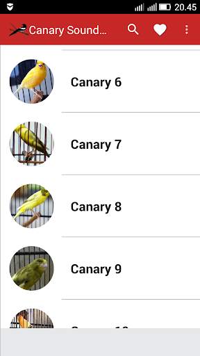 Canary Birds Master скриншот 1