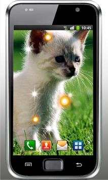 Hello my kitty Live Wallpaper скриншот 4