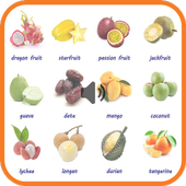 fruits sounds icon