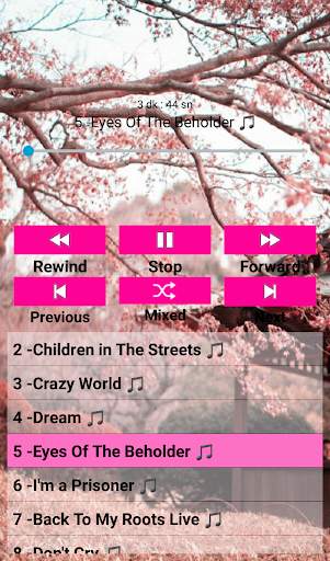 Miley  Cyrus Songs Offline screenshot 2