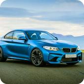USA BMW Simulator Game icon
