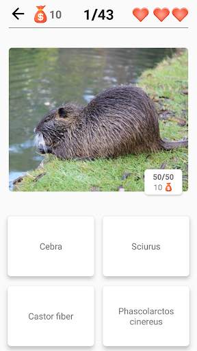 Mamíferos - ¡Aprende todos los animales en Quiz! screenshot 5