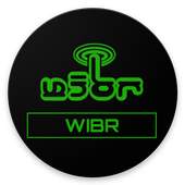 WIBR  WIfi BRuteforce 1.5.5