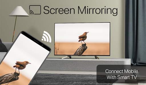 Screen Mirroring : Mobile Screen to TV screenshot 1