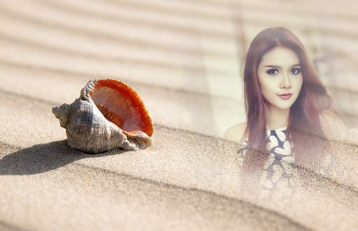 Seashell Photo Frames screenshot 5