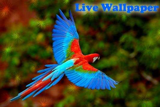 Birds Live Wallpaper स्क्रीनशॉट 5