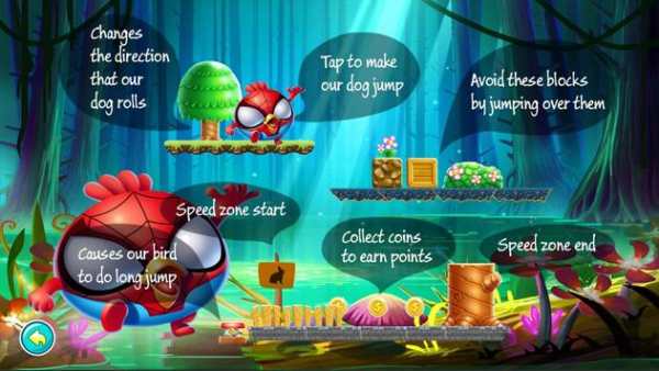 Angry Spider Bird screenshot 5