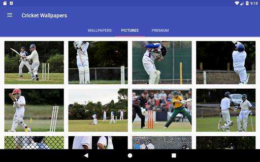 Cricket Wallpapers HD & Motivation screenshot 4