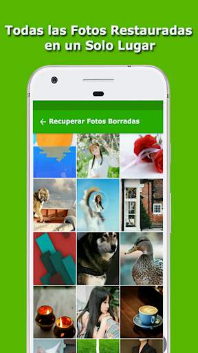 Como Recuperar Fotos Borradas screenshot 2