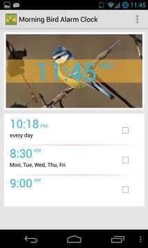 Bird Quiz Alarm Clock screenshot 3