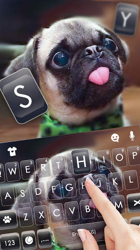 Latar Belakang Keyboard Cute Tongue Pug screenshot 2