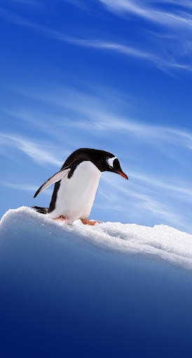 Nature wallpaper hd app offline screenshot 7